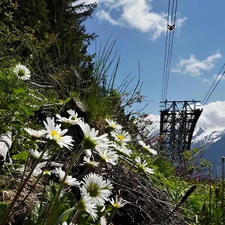Zillertal-Urlaubat0018 アパート マイヤーホーフェン
