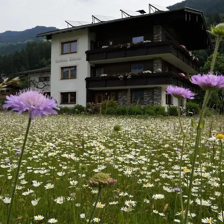 Zillertal-Urlaubat0018 *