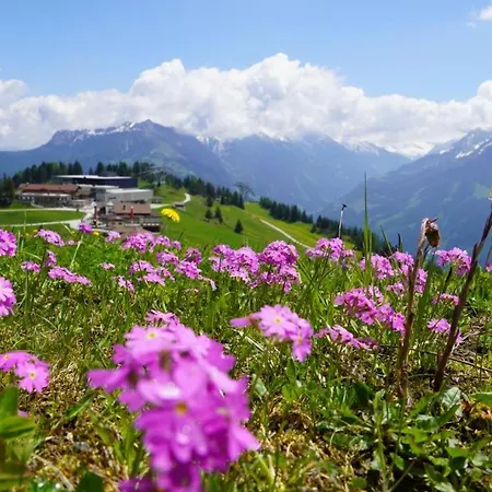 Zillertal-Urlaubat0018 アパート マイヤーホーフェン